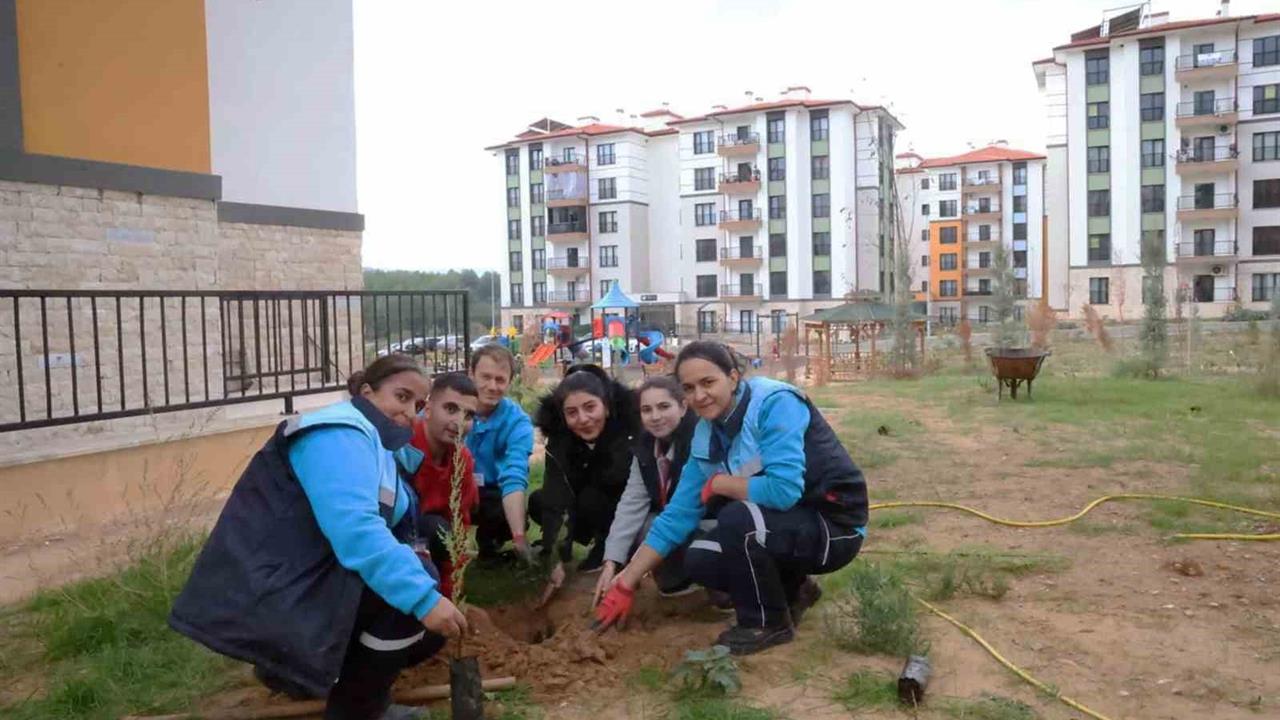 Menteşe Akçaova TOKİ Sitesi'nde Fidan Dikimi Yapıldı