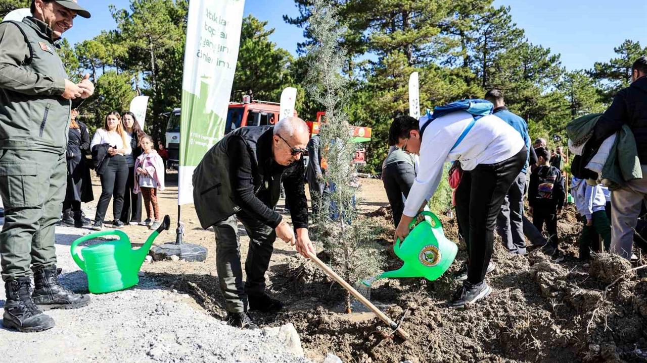Denizli Çameli'de 11 Kasım Milli Ağaçlandırma Günü'nde Fidanlar Dikildi
