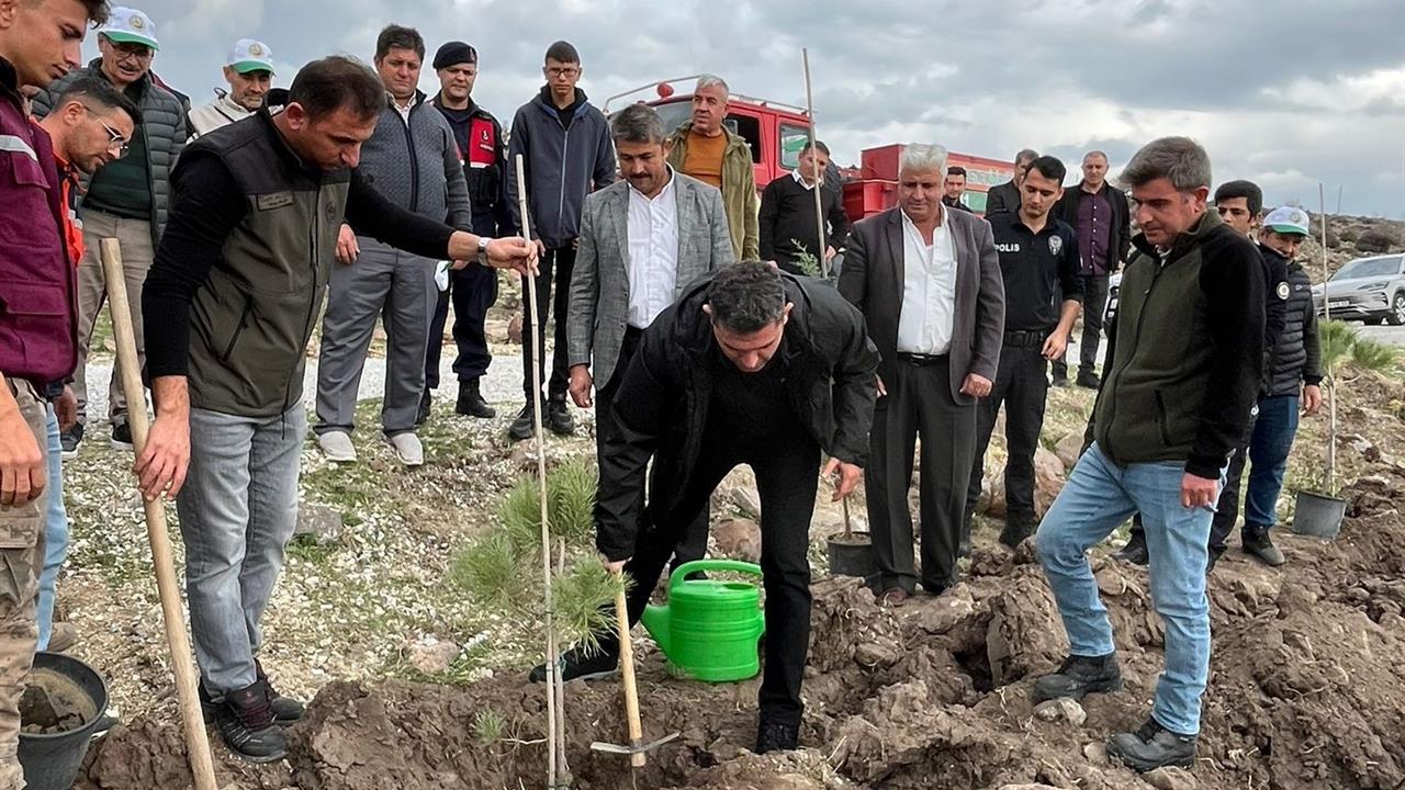 Manisa Selendi'de 800 Fidan, "Geleceğe Nefes" Temasıyla Toprakla Buluşturuldu