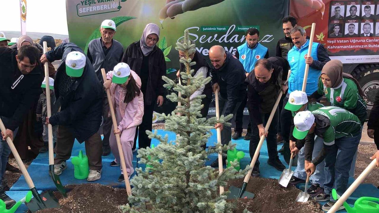 Eskişehir'de Eyüp Dereli Anısına 15 Bin Fidan Dikildi