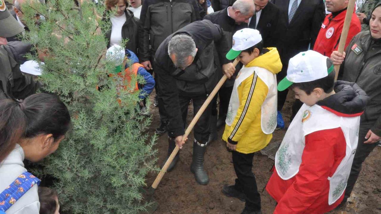 Edirne Keşan'da Yangın Sonrası 2 Bin Çam Fidanı Dikildi