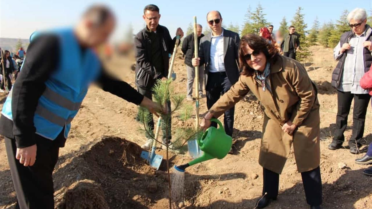 Ankara'da Denetimli Serbestlik Yükümlüleri 11 Kasım'da Fidan Dikti