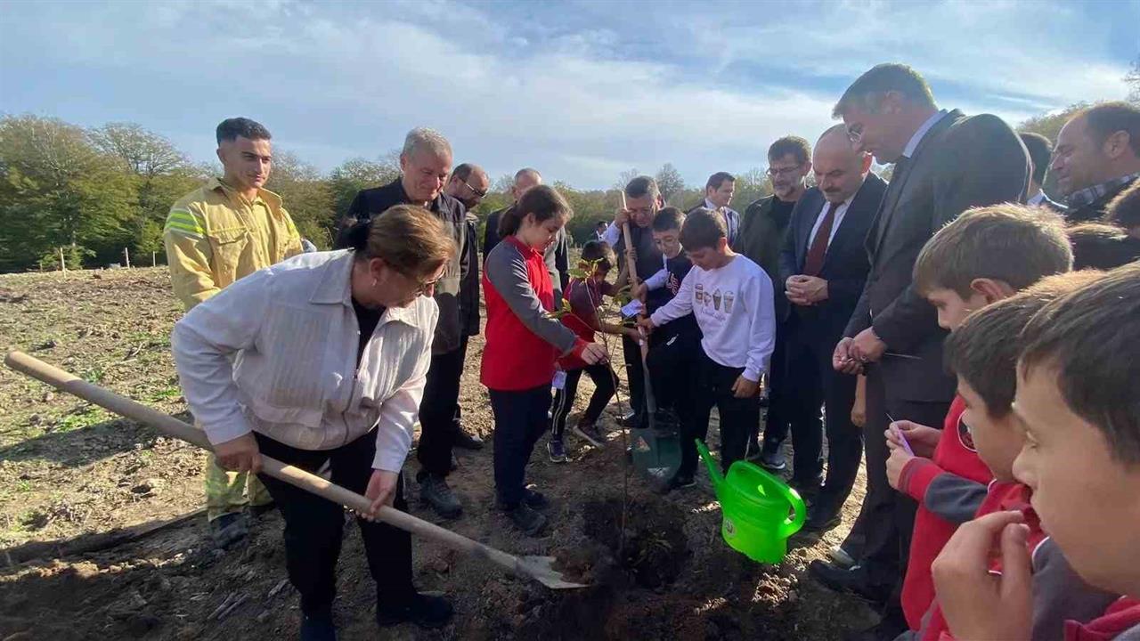 Sinop Merkez'de "11 Kasım Milli Ağaçlandırma Günü" Kapsamında 3 Bin 860 Fidan Toprakla Buluştu