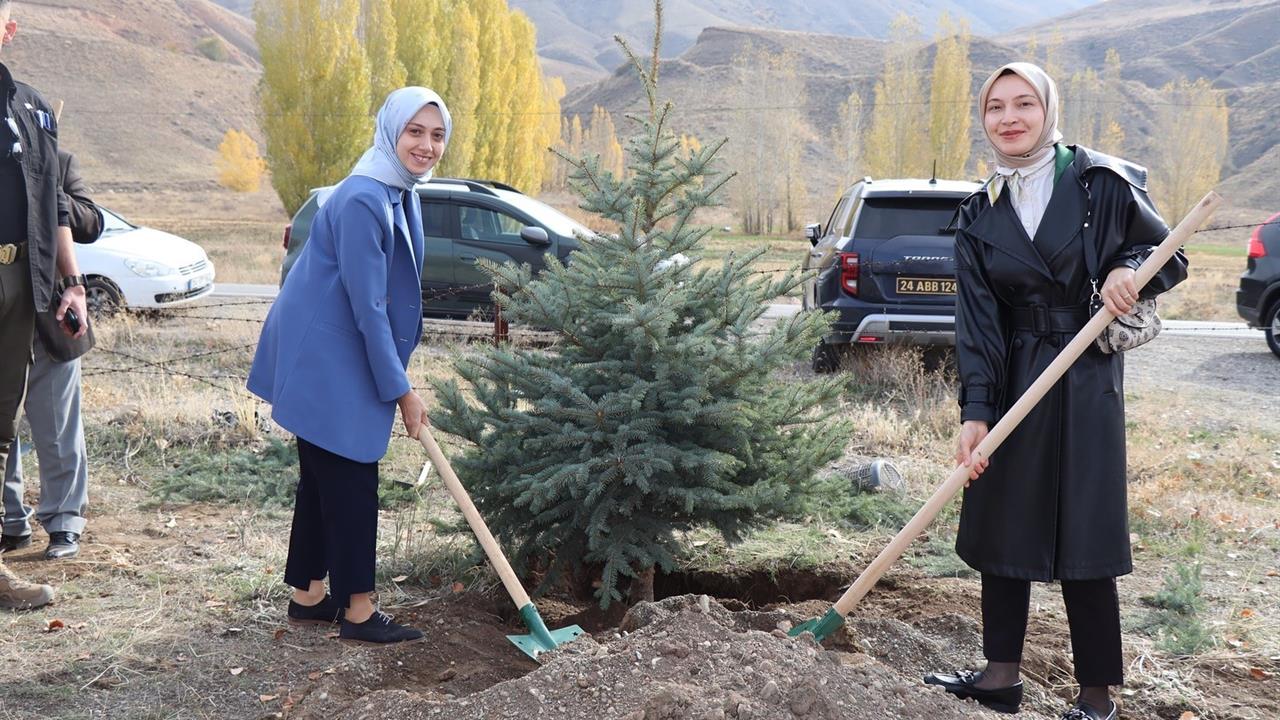 Erzincan Tercan'da Fidan Dikim Etkinliği Gerçekleştirildi