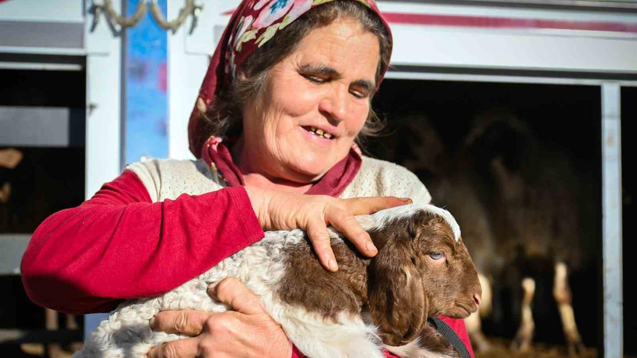 Mersin'de Yem Desteği Projesi ile 300 Yetiştiriciye 7 Bin 500 Küçükbaş Hayvan ve Yem Dağıtımı Gerçekleşti