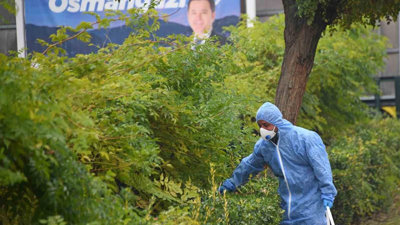 Osmangazi'de Kemirgenlerle Mücadele İçin İlaçlama Yapılıyor