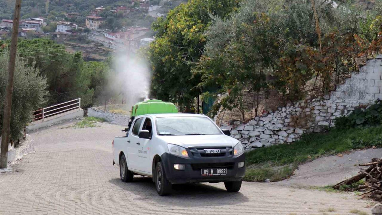 Aydın Bozdoğan'da Karasinekle Mücadele Çalışmaları Devam Ediyor