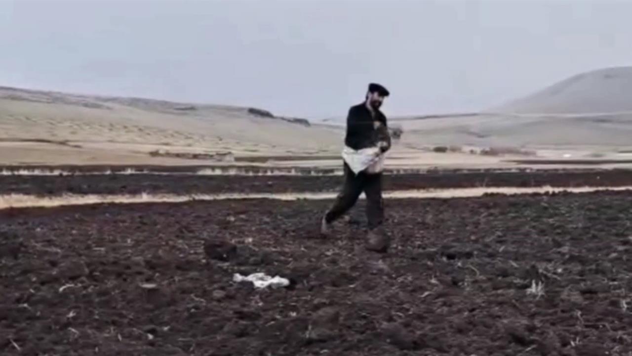 Kars Merkez'de Güzlük Ekim Uygulamaları ve Kuraklığa Dayanıklı Tohum Tanıtımları Yapılıyor