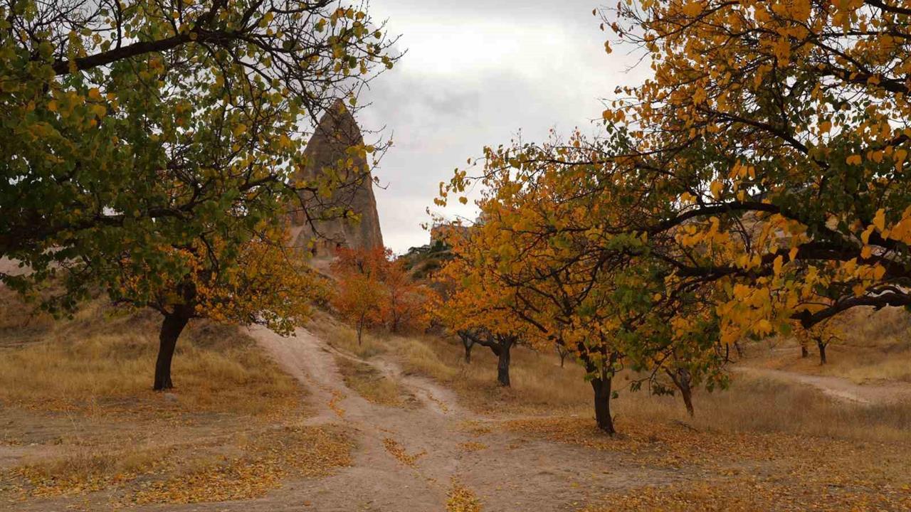 Kapadokya'da Sonbahar Mevsiminde Renk Cümbüşü Dron ile Görüntülendi