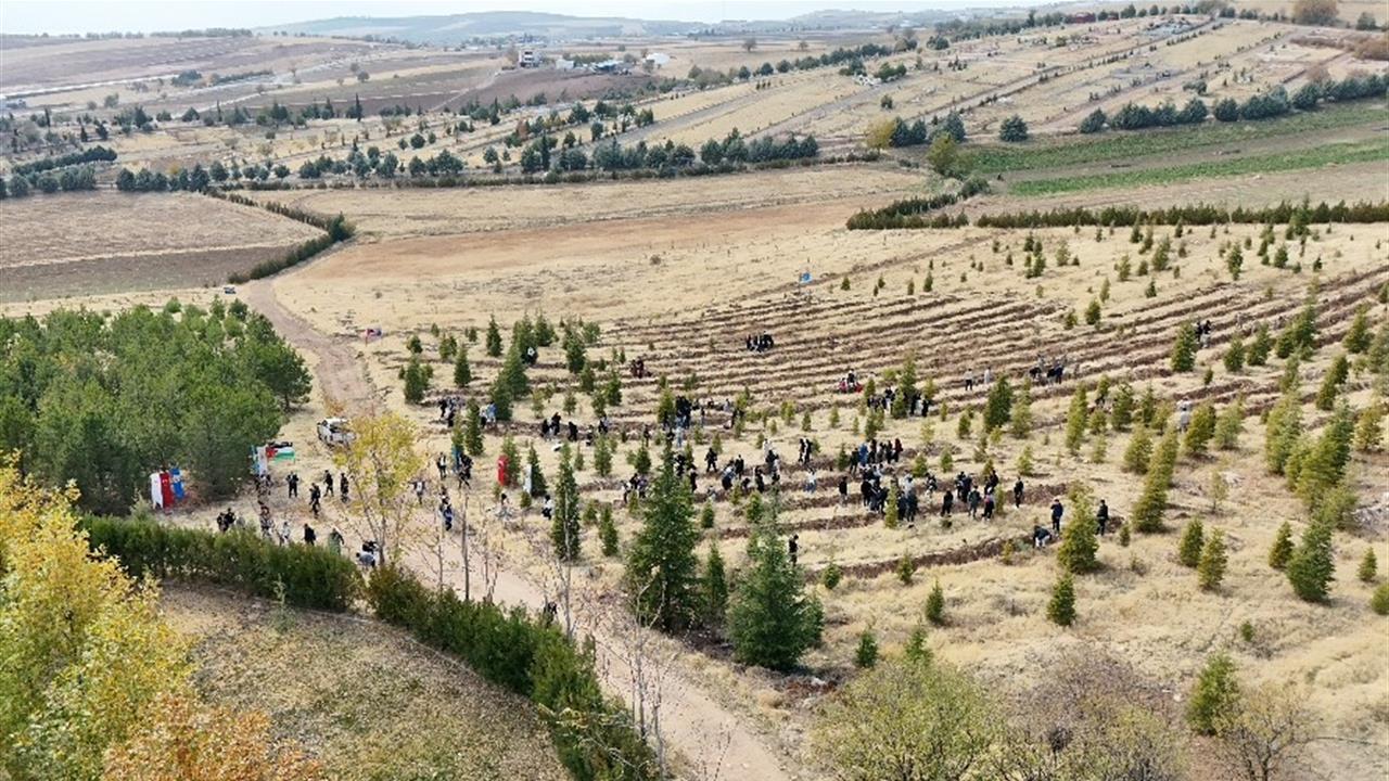 Elazığ Kovancılar'da Doğu Türkistan ve Filistin İçin Fidan Dikildi