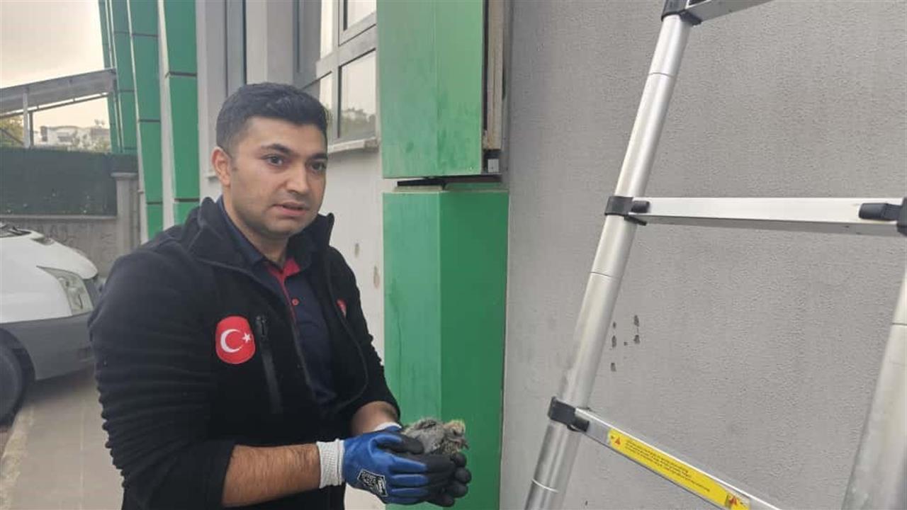 Batman Pınarbaşı'nda Kolonlara Sıkışan Kuş İtfaiye Ekipleri Tarafından Kurtarıldı