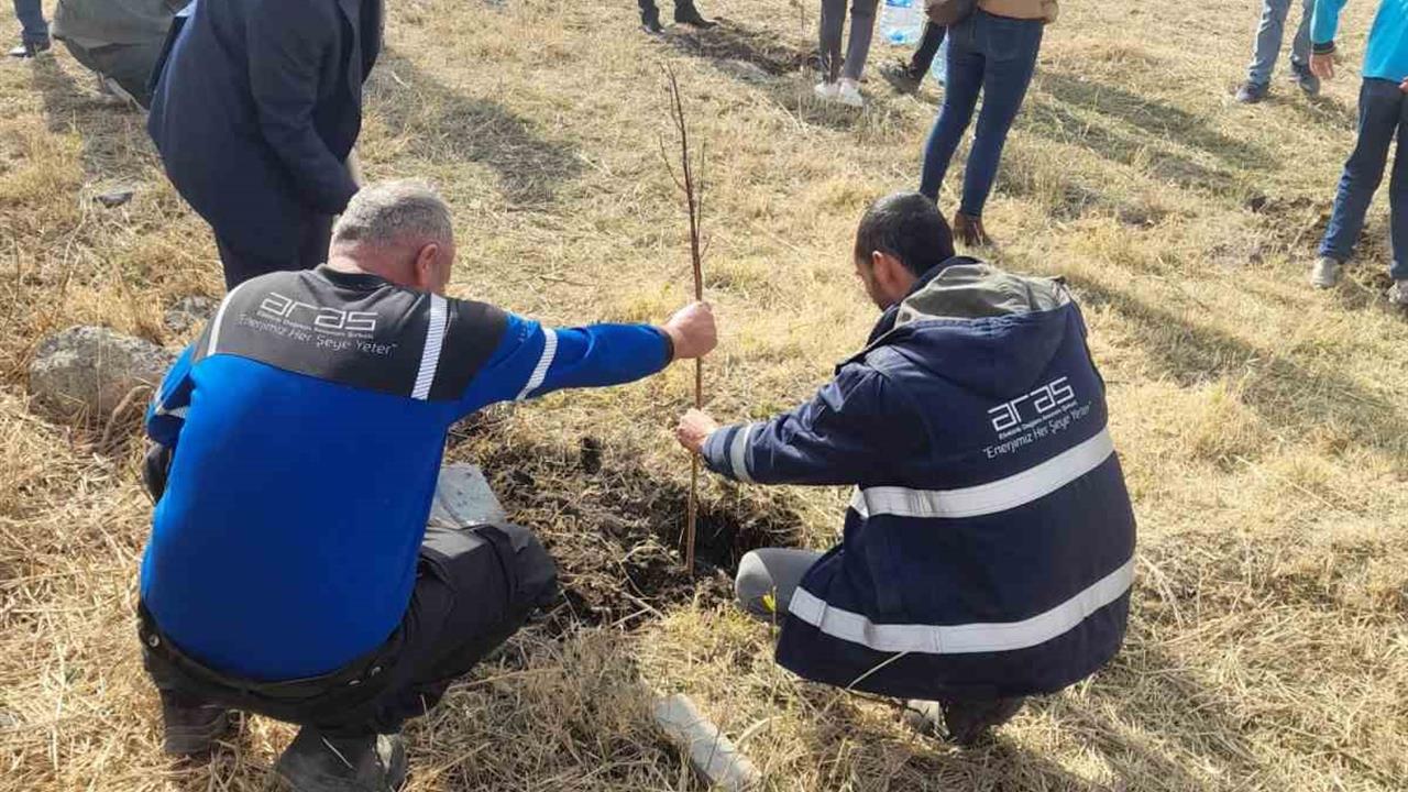 Erzurum'da 11 Kasım Milli Ağaçlandırma Günü Etkinliği Yapıldı