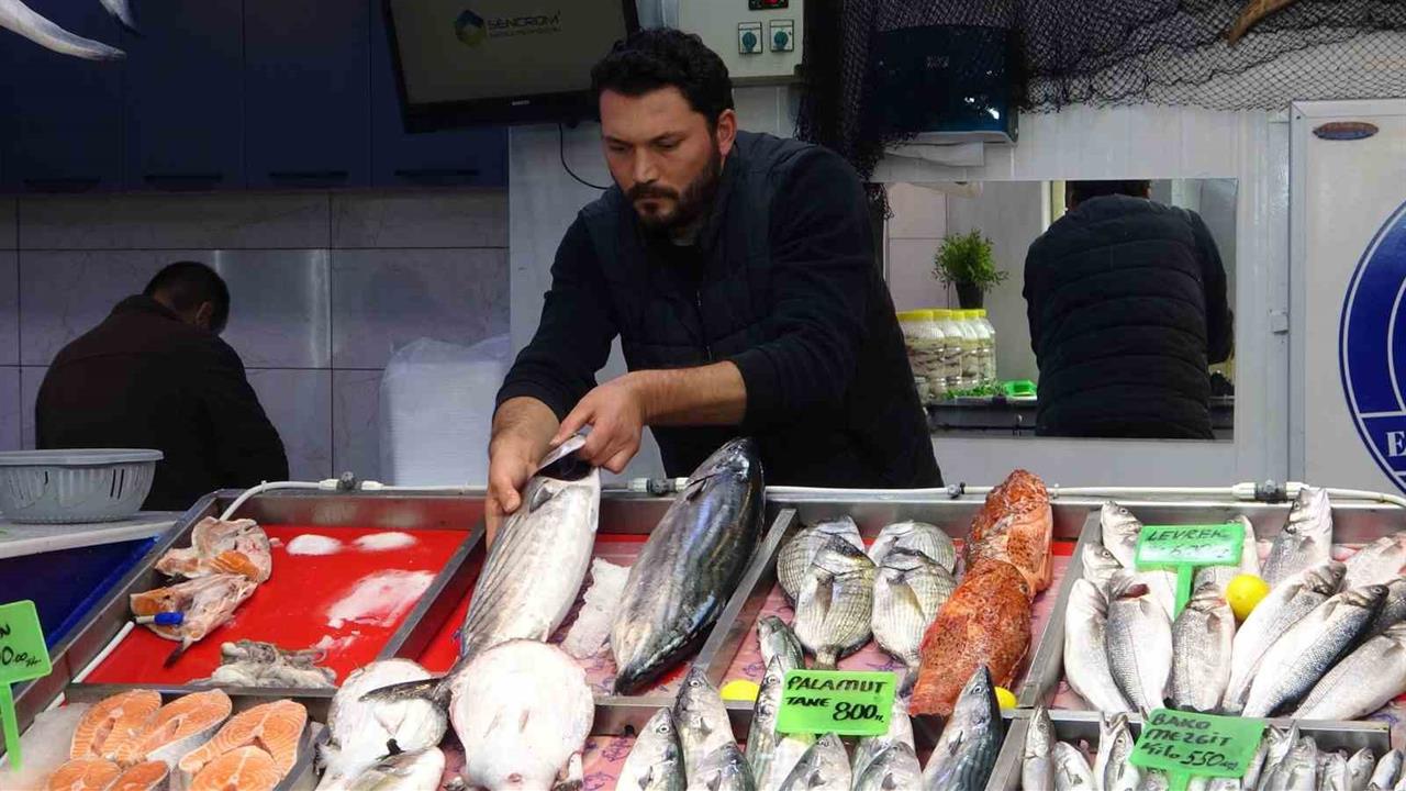 Çanakkale’de Hamsi ve Sardalya Fiyatları Sabit Kaldı