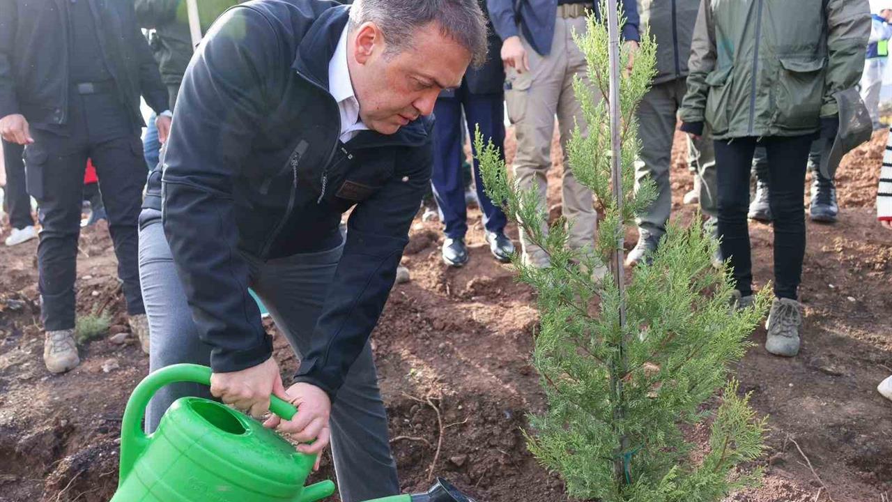 Bilecik Osmaneli'de Orman Yangınlarından Etkilenen Bölgeye 5 Bin Fidan Dikildi