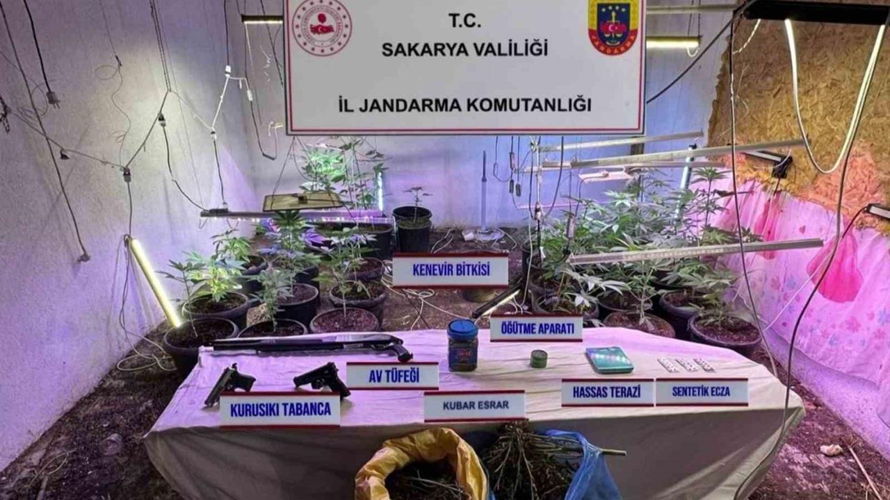 Sakarya Kocaali'de İklimlendirme Sistemi ile Kenevir Yetiştiren Şahıs Tutuklandı