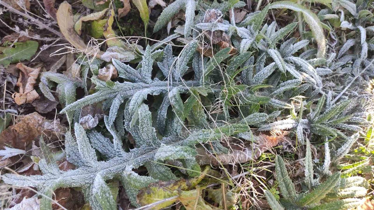 Ardahan Göle'de Sıcaklık Eksi 6,4 Dereceye Düştü