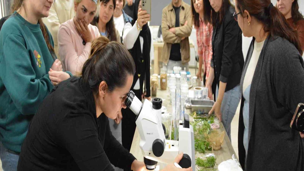 Balıkesir'de BAÇEM tarafından düzenlenen 5. Bitki Doku Kültürü Kursu, 30 kursiyerin katılımıyla başarıyla tamamlandı.