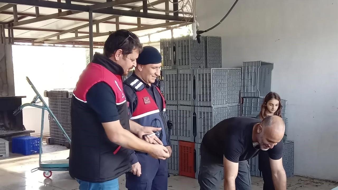 Balıkesir Edremit'te Zeytin Hırsızlıklarını Önlemek İçin Denetim Yapıldı