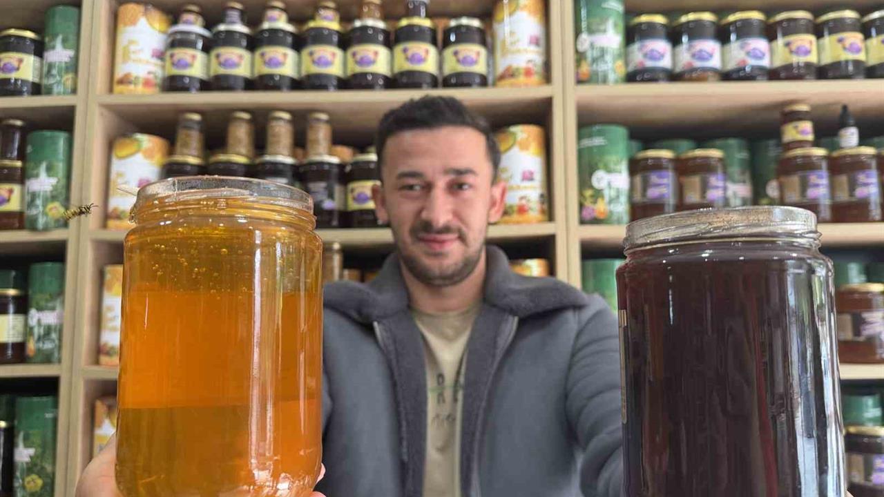 Düzce'de Bal Üreticisi: "Kışın Donmayan Bal Sahte"