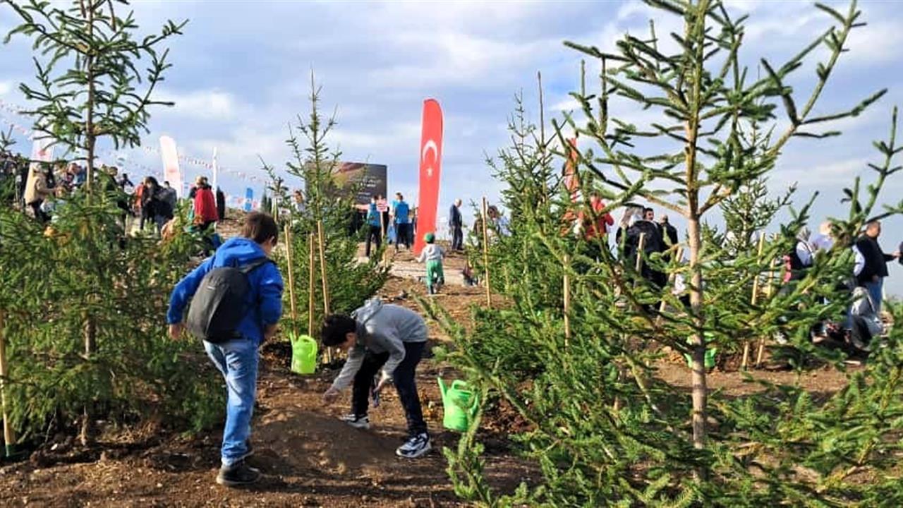 Sakarya'da SUBÜ Öğrenci Toplulukları Fidan Dikimi Gerçekleştirdi