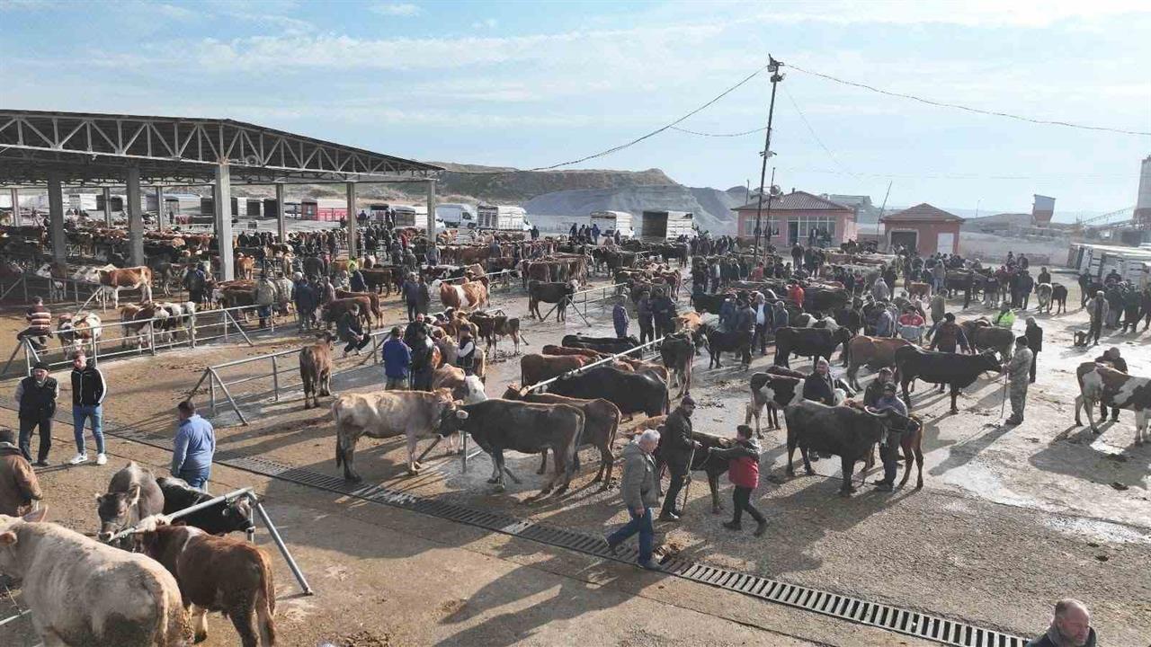 Yozgat Sorgun'da Şap Tehlikesi Nedeniyle 5 Ay Kapalı Kalan Pazar Tekrar Faaliyete Geçti