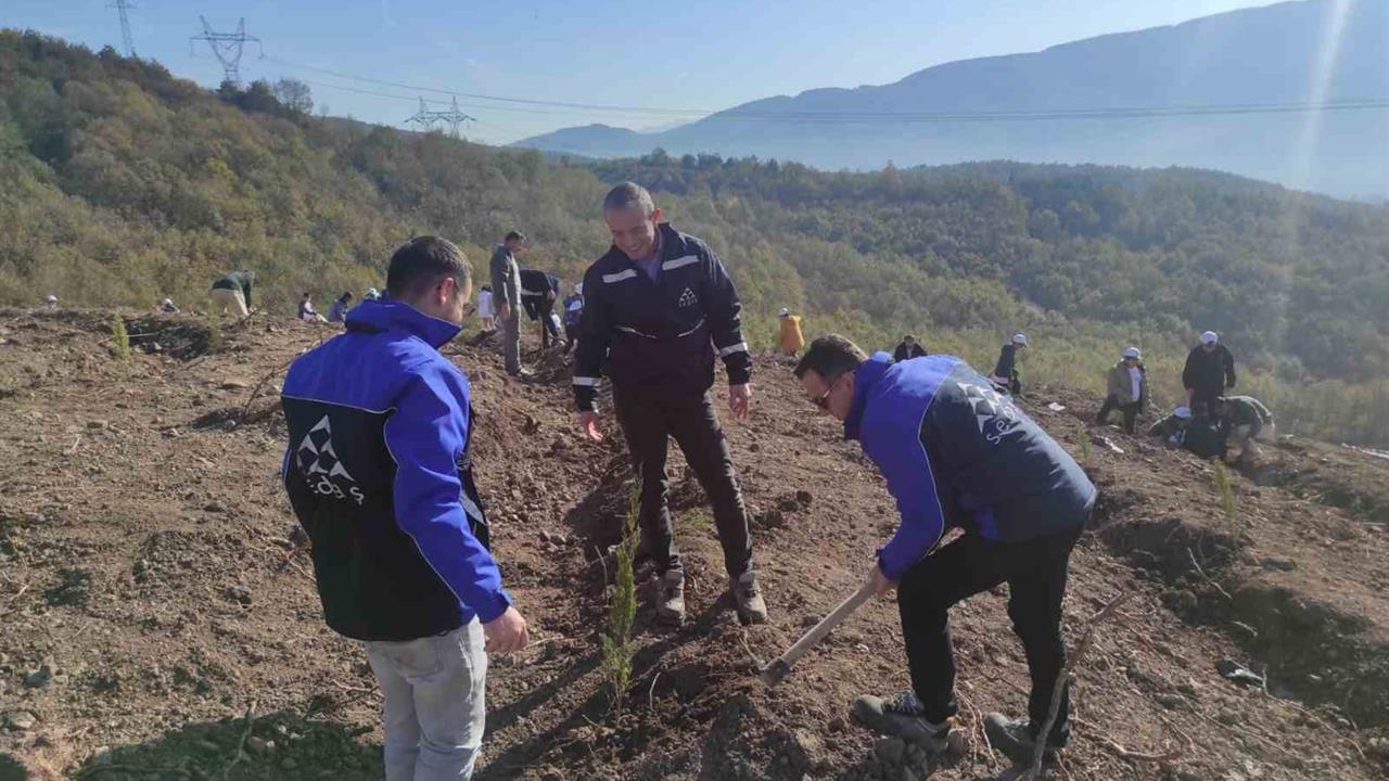 Kocaeli, Sakarya, Düzce ve Bolu'da 500 Fidan Dikimi Yapıldı