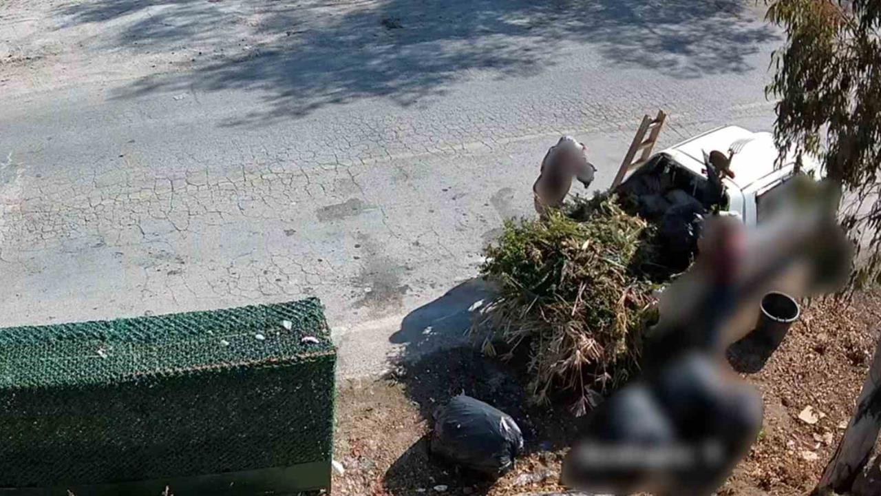 Bodrum'da Çevre Kirliliğine Neden Olan Kişilere Cezai İşlem Uygulandı