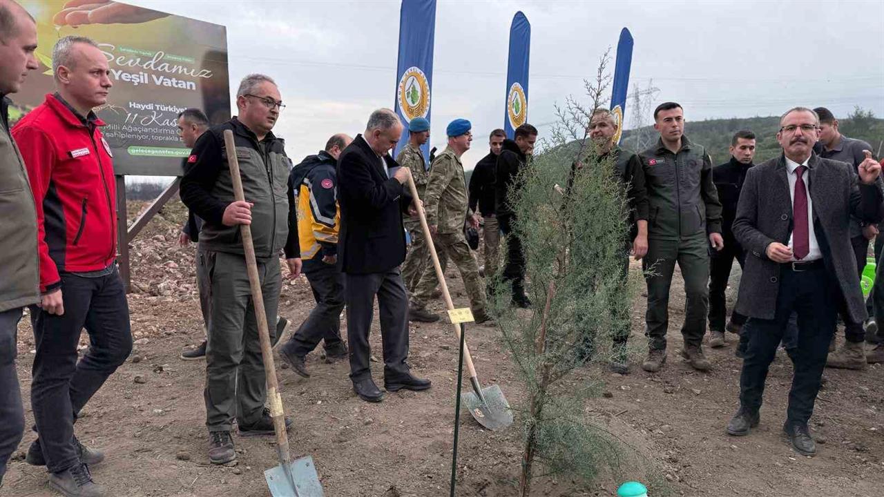 Manisa'da 2025 Yılına Kadar 3,1 Milyon Fidan Dikilecek