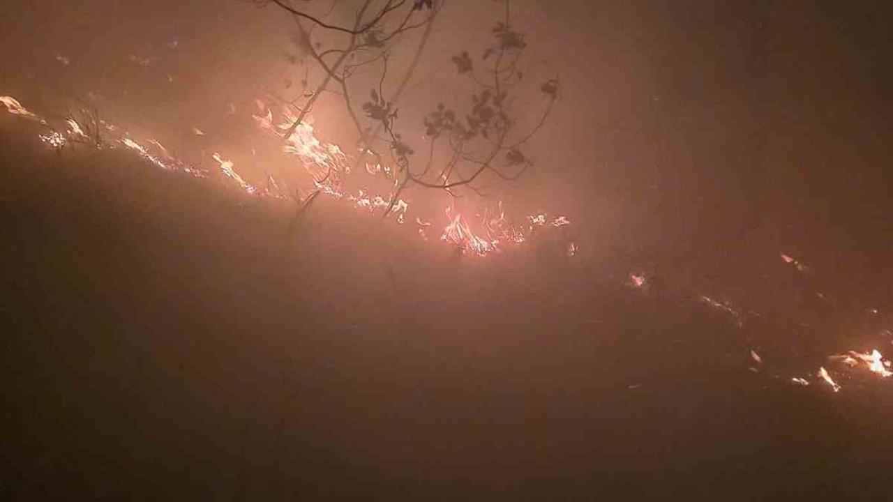 Hatay Arsuz'da Yıldırım Düşmesi Sonucu Orman Yangını Başladı