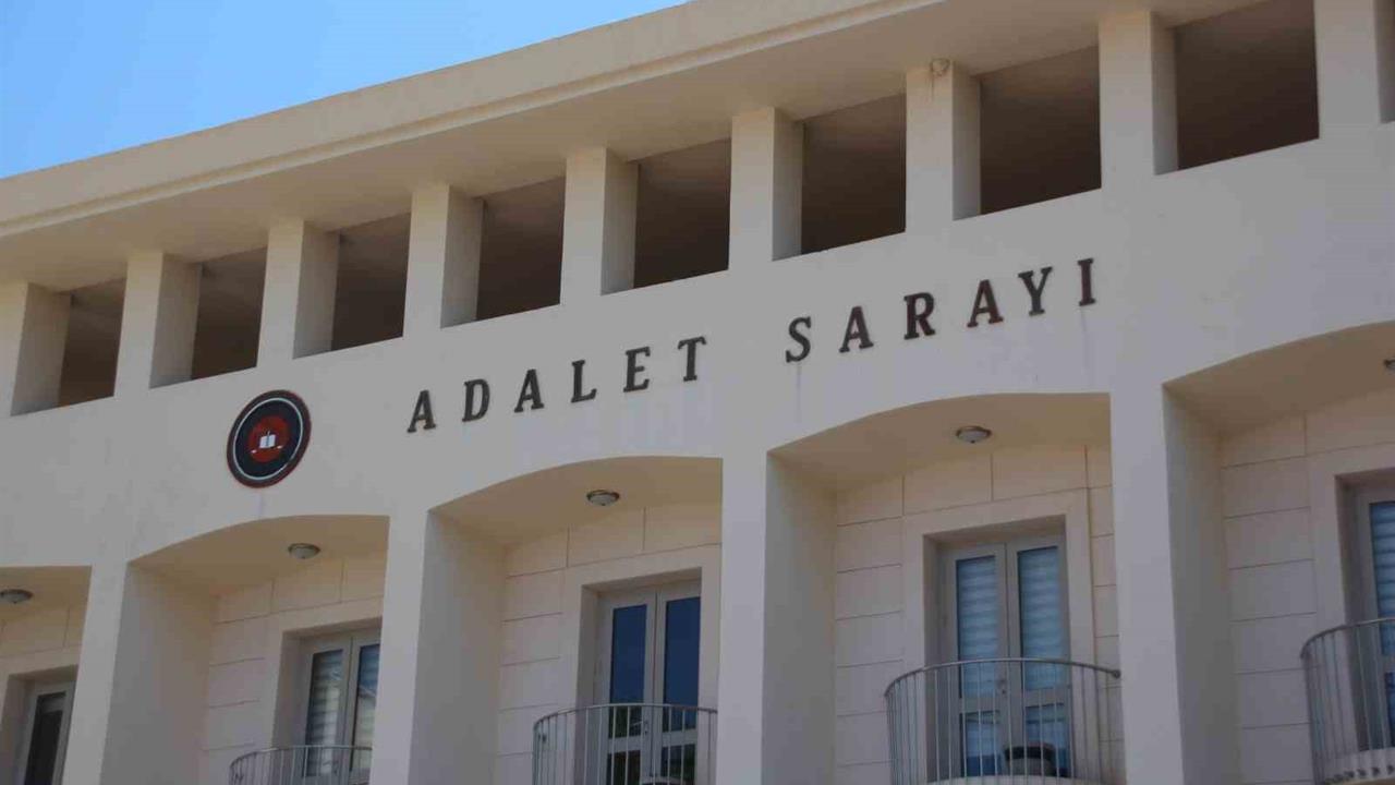 Muğla Bodrum'da Yavru Köpeklere Ateş Eden Şahıs Tutuklandı