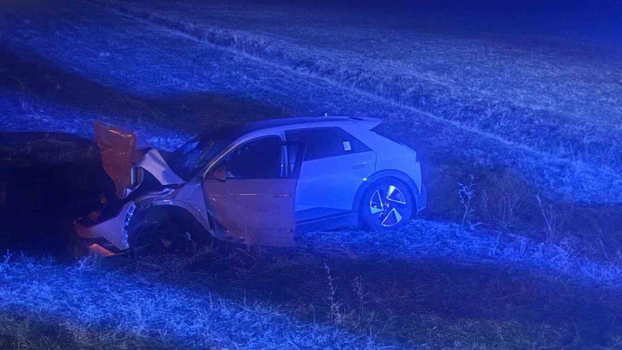 Muş Hasköy'de Otomobil Yola Çıkan İneğe Çarptı, İnek Telef Oldu