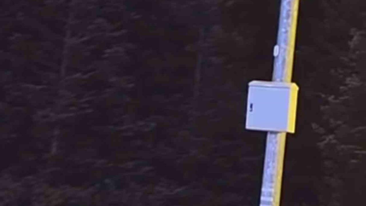 Bursa Uludağ'da Kış Uykusuna Yatmadan Çöp Konteynerlerini Talan Eden Ayılar Görüntülendi