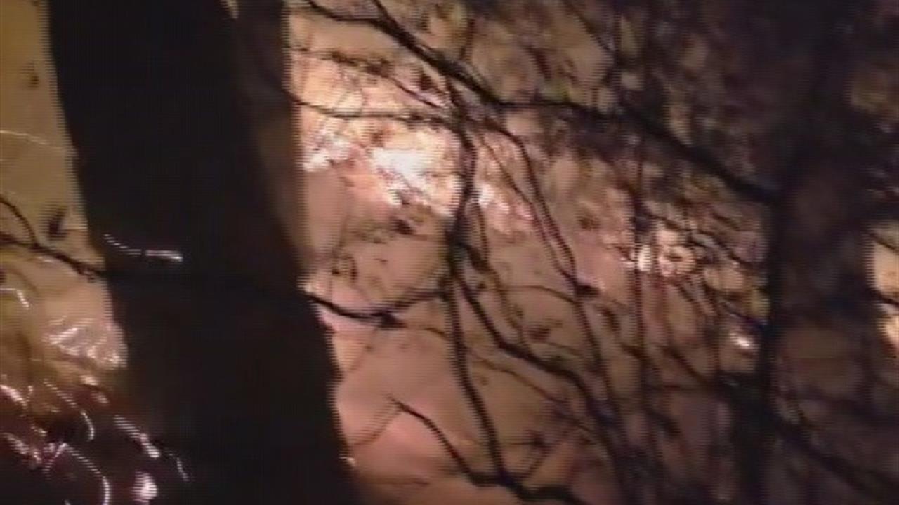 Hatay Arsuz'daki Yıldırım Düşmesi Sonucu Çıkan Yangına Müdahale Devam Ediyor