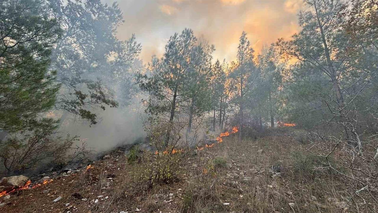 Mersin Bozyazı'da Çıkan Orman Yangını Kontrol Altına Alındı