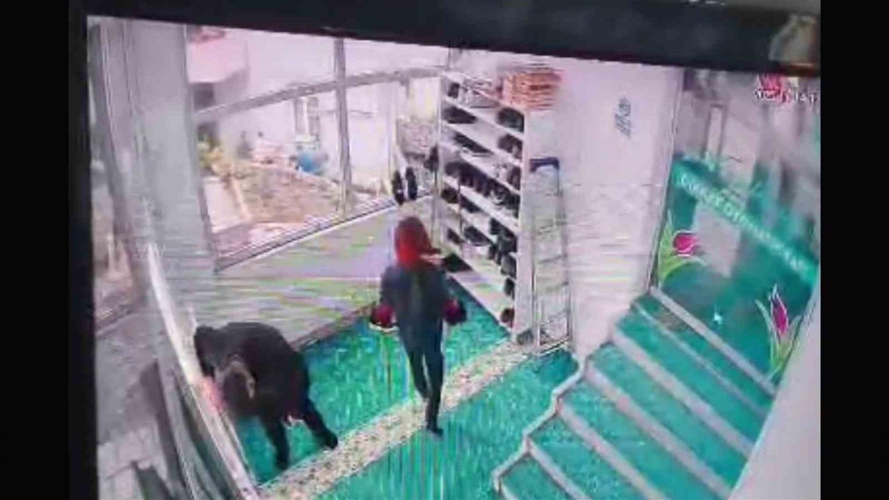 Ordu Ünye'de Cuma Namazı İçin Camiye Gelen Yaşlı Adam Kalp Krizi Geçirdi