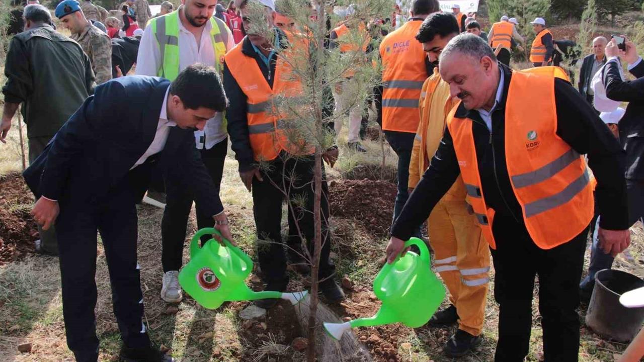 Diyarbakır Makam Dağı'na 3 Bin Fidan Dikildi