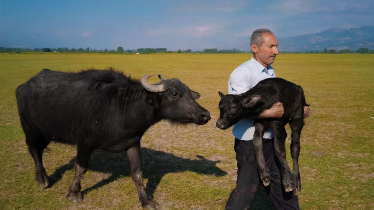 Tokat Merkez'de Fırın Ustası Mehmet Emin Coruş'un Paris'teki Ödül Heyecanı Vize Sorunu Nedeniyle Kesintiye Uğradı