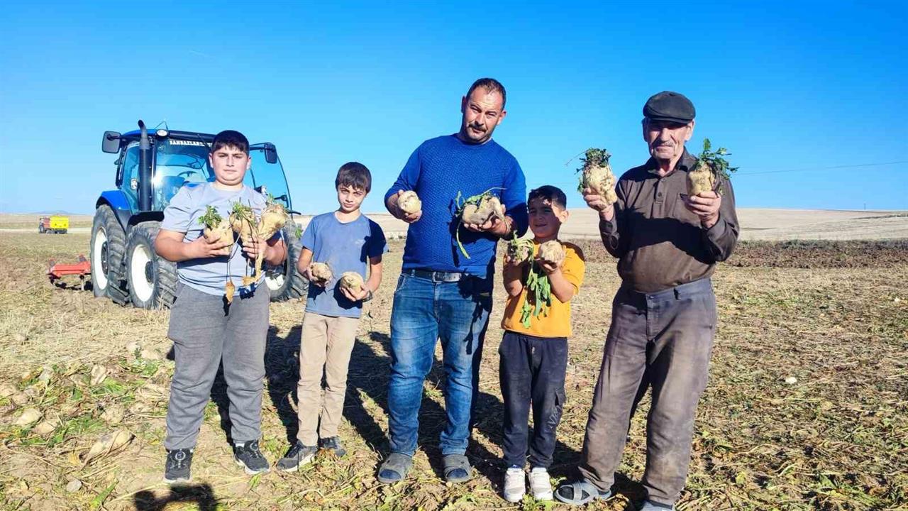 Yozgat Sorgun'da 6 Aylık Pancar Hasadı Çiftçileri Sevindiriyor