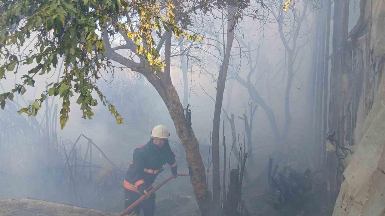 Mersin Bozyazı'da Çıkan Yangında Sera Zararları Meydana Geldi