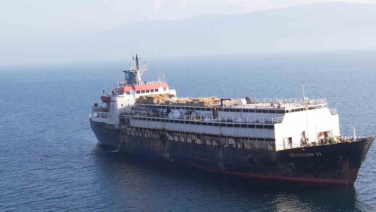 Bandırma'da 24 Gün Bekleyen Spiridon II Hayvan Gemisi Geri Dönüşe Geçti