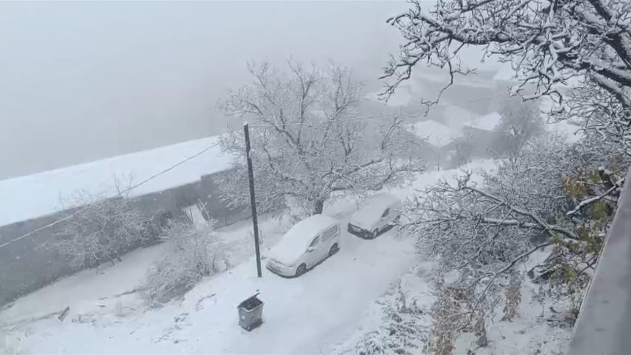 Van Bahçesaray'da Kar Yağışı Nedeniyle Ulaşımda Zorluklar Yaşandı