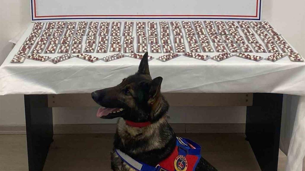 Kastamonu Tosya'da Uyuşturucu İle Yakalanan Şahıs Tutuklandı