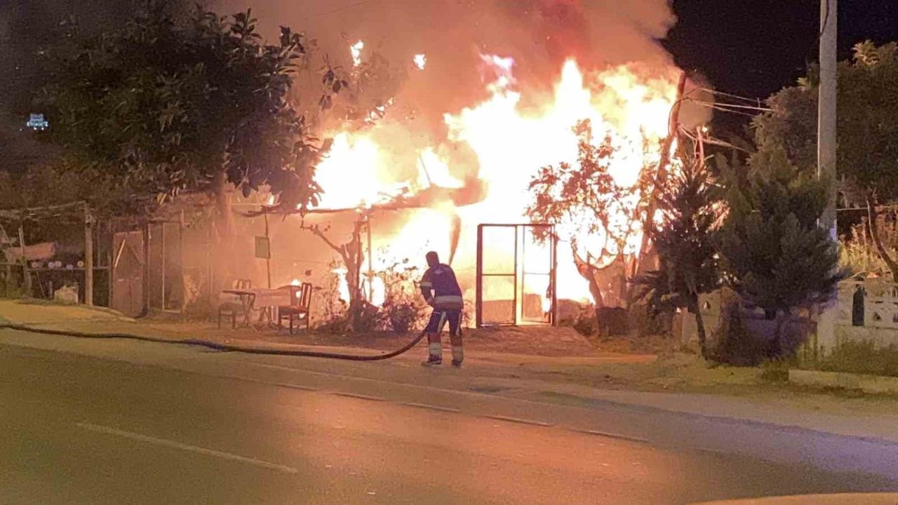 Erdemli’de Hobi Bahçesindeki Mutfak Tüpleriyle Dolu Baraka Küle Döndü: Korku Dolu O Anlar!