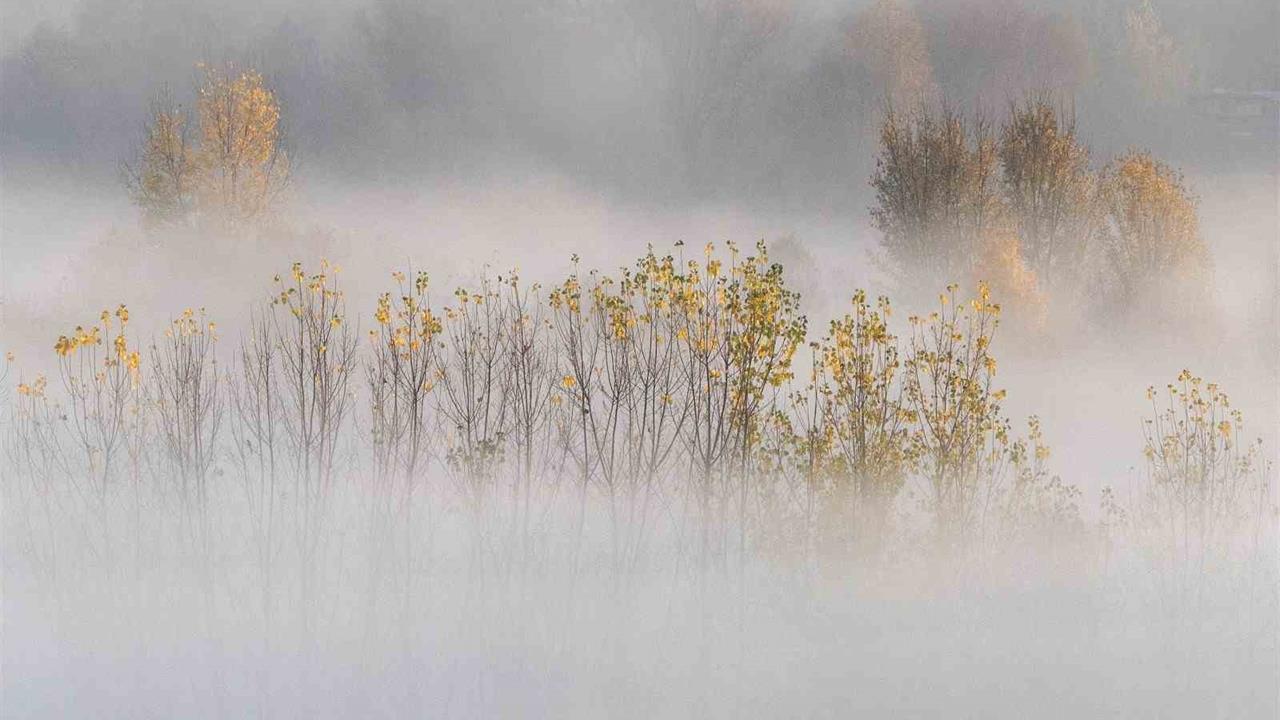 Diyarbakır Hevsel Bahçeleri'nde Sisli Sonbahar Görüntüleri Ortaya Çıktı