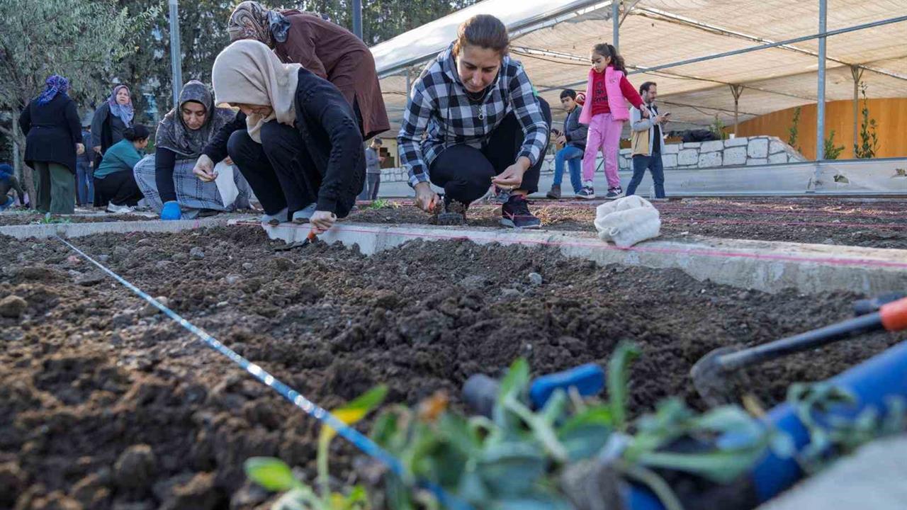 İzmir'de Kadınların Mahalle Bostanlarında Kış Dönemi Dikimleri Başladı