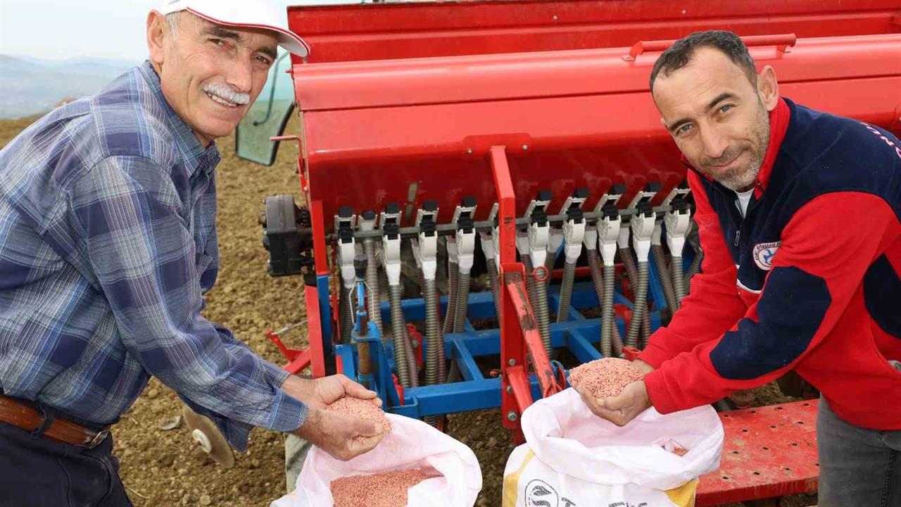 Kocaeli Büyükşehir Belediyesi, Çiftçilere Yüzde 75 Hibe Tohum Desteği Sağladı