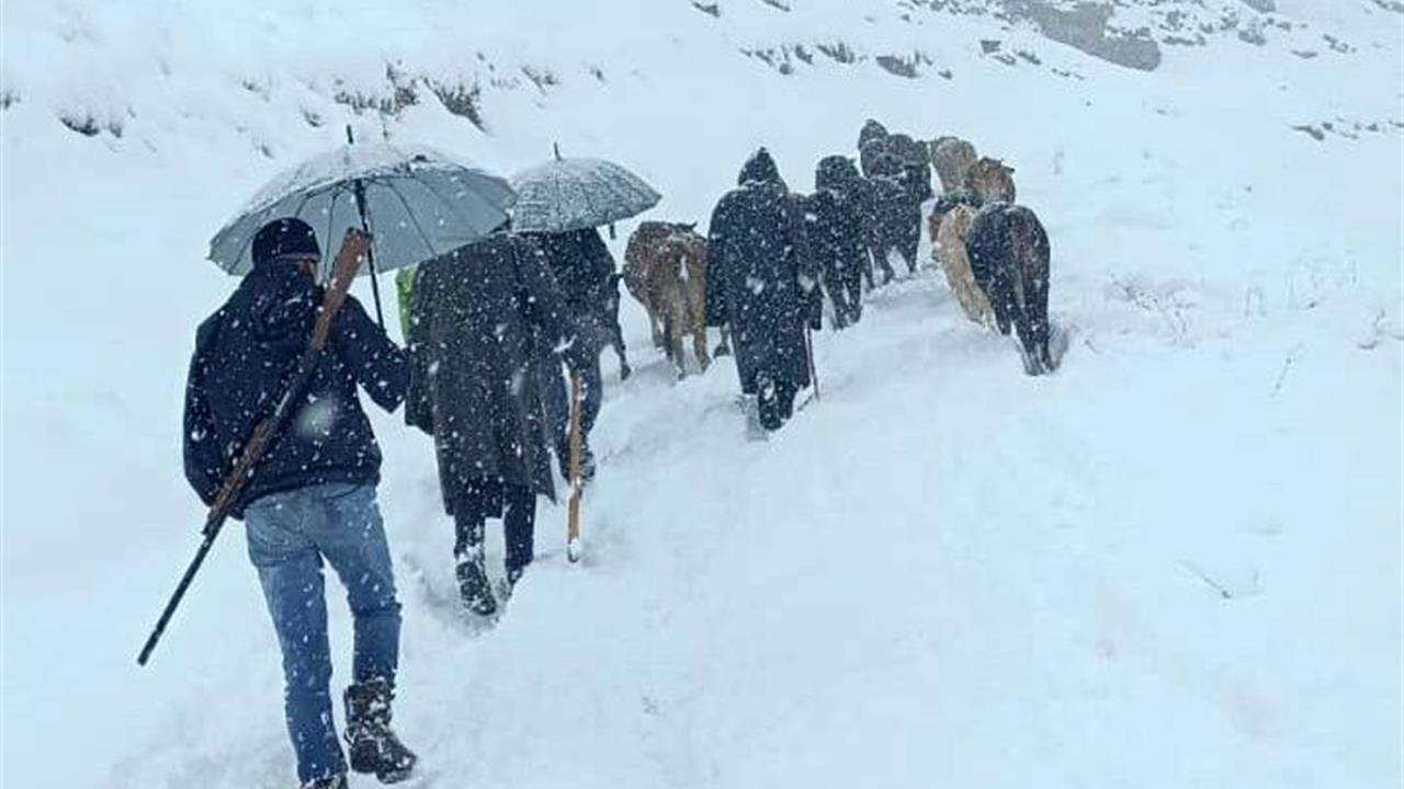 Hakkari Merkez'de Yoğun Kar Yağışı Nedeniyle Mahsur Kalan Hayvanlar Kurtarıldı