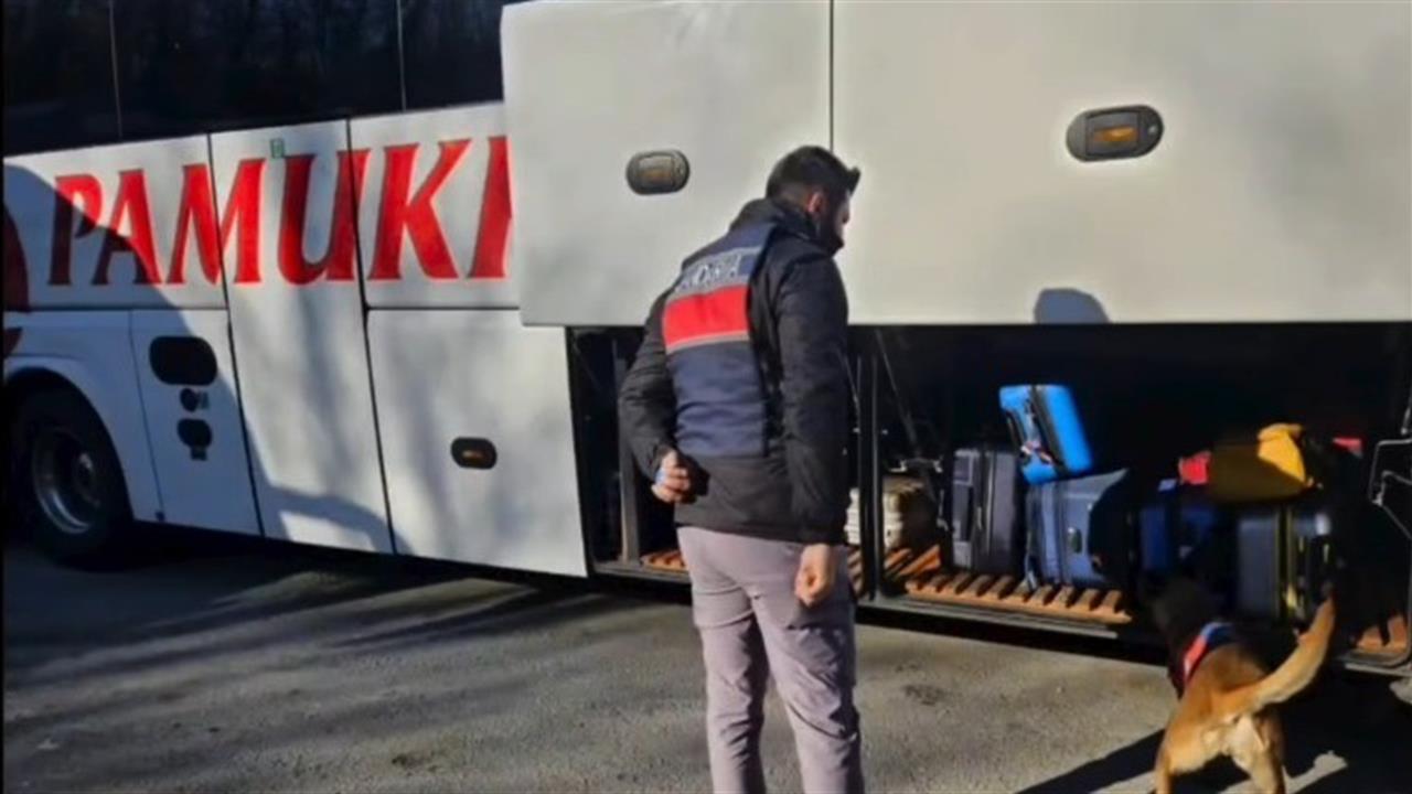 Bilecik'te Jandarma Eş Zamanlı Operasyon Düzenledi