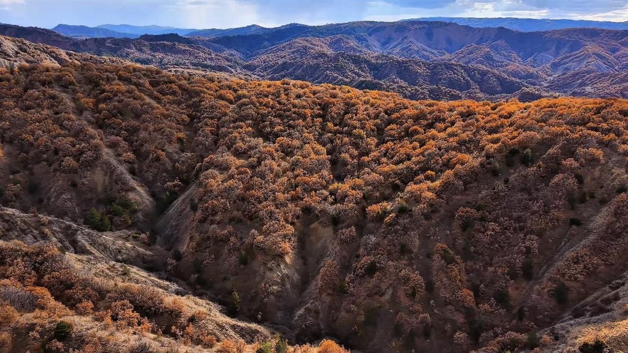 Çankırı Yapraklı'da Sonbahar İle Birlikte Renk Cümbüşü Başladı