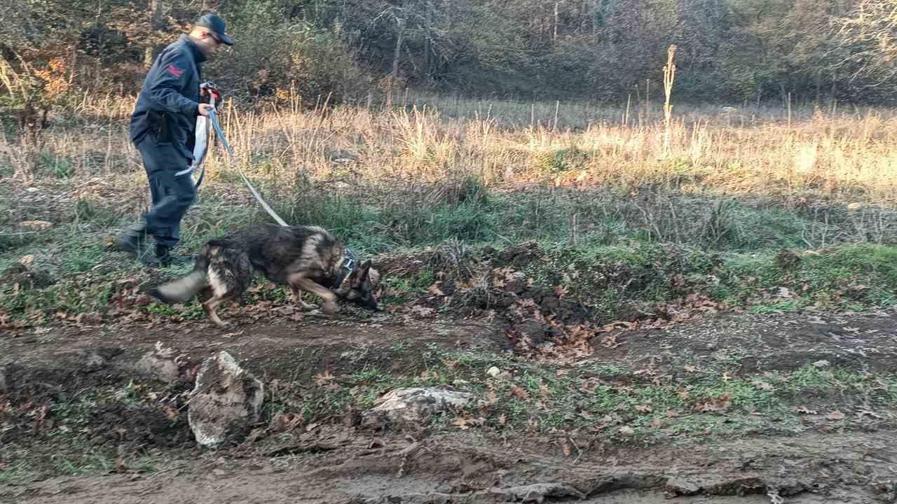 Bilecik'te Ormanlık Alanda Kayıp Olan İsmail Kaya İçin 96 Kişilik Ekip Seferber Oldu